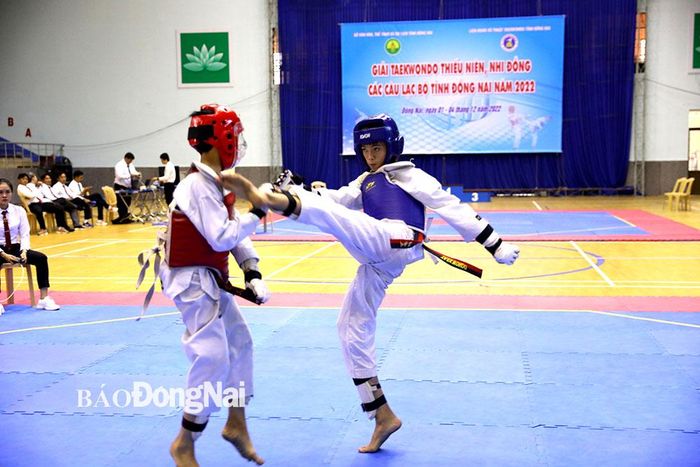 Giải taekwondo Đông Nam Á 2022: Các VĐV Đồng Nai giành được 1 HCV, 3 HCB, 1 HCĐ