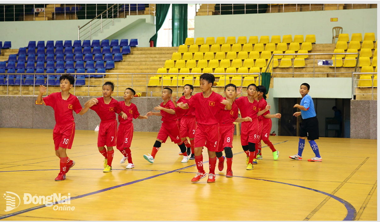 Giải bóng đá nhi đồng - Cúp Báo Đồng Nai lần thứ 19